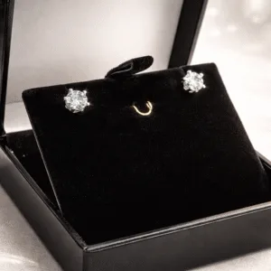 Brinco Whashington 0,5CT Moissanite